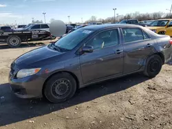 Vehiculos salvage en venta de Copart Indianapolis, IN: 2010 Toyota Corolla Base