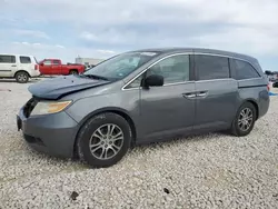 Salvage cars for sale at Taylor, TX auction: 2011 Honda Odyssey EXL