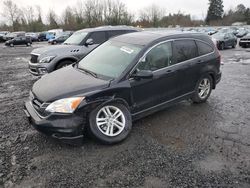 Honda salvage cars for sale: 2010 Honda CR-V EXL