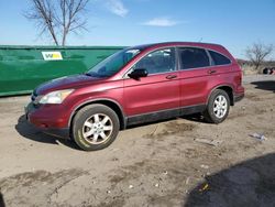 Salvage cars for sale at Baltimore, MD auction: 2011 Honda CR-V SE