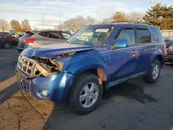 Salvage cars for sale at Moraine, OH auction: 2012 Ford Escape XLT