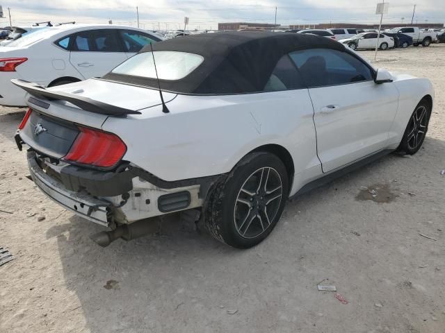 2019 Ford Mustang