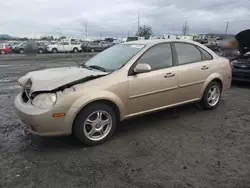 Salvage cars for sale at Eugene, OR auction: 2007 Suzuki Forenza Base