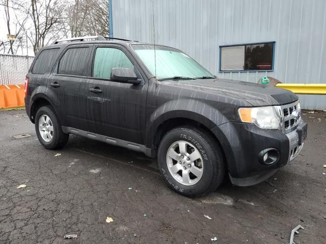 2011 Ford Escape Limited