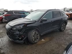 Salvage cars for sale at San Martin, CA auction: 2020 Ford Escape SEL