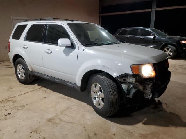 2009 Ford Escape Limited