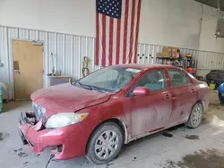 Toyota Vehiculos salvage en venta: 2010 Toyota Corolla Base