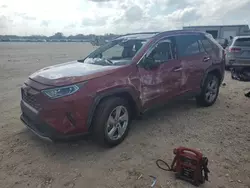 Salvage cars for sale at San Antonio, TX auction: 2020 Toyota Rav4 Limited