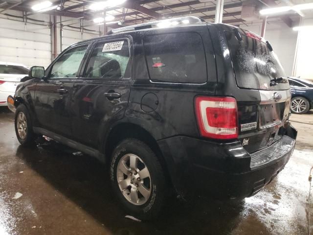 2011 Ford Escape Limited