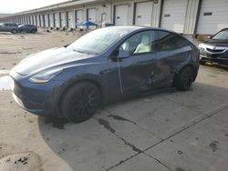 2020 Tesla Model Y en venta en Louisville, KY