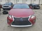 2016 Lexus ES 300H