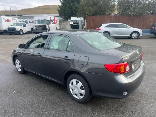 2010 Toyota Corolla Base