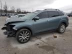 2010 Mazda CX-9