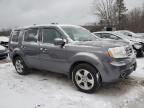 2014 Honda Pilot EXL