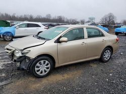 Toyota Corolla salvage cars for sale: 2013 Toyota Corolla Base