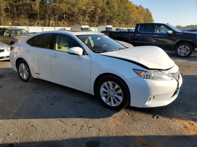 2013 Lexus ES 300H