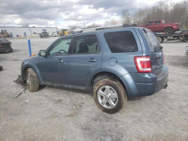 2011 Ford Escape Limited