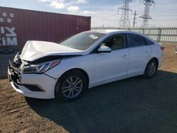 Salvage cars for sale at Elgin, IL auction: 2016 Hyundai Sonata SE