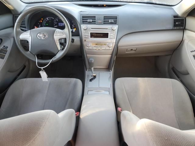 2010 Toyota Camry Hybrid