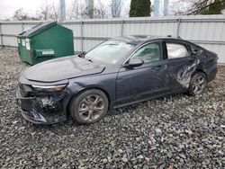 Salvage cars for sale at Windsor, NJ auction: 2024 Honda Accord EX