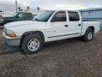 2001 Dodge Dakota Quattro