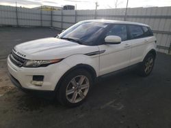 Land Rover salvage cars for sale: 2013 Land Rover Range Rover Evoque Pure Premium