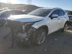 2023 Lexus NX 350 en venta en Littleton, CO