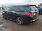 2021 Honda Odyssey EXL