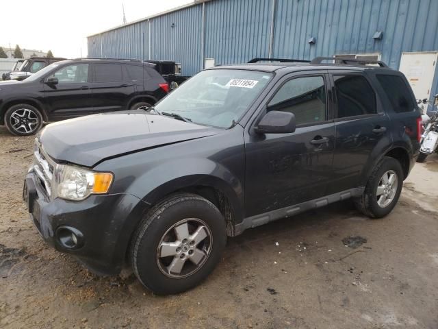 2009 Ford Escape XLT