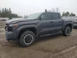 Toyota Tacoma Double cab Vehiculos salvage en venta: 2024 Toyota Tacoma Double Cab