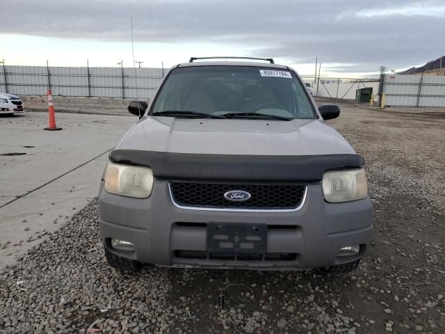 2001 Ford Escape XLT