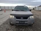 2001 Ford Escape XLT