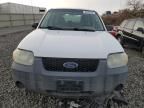 2007 Ford Escape XLS