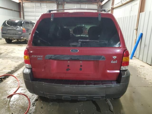 2005 Ford Escape XLT