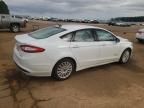 2016 Ford Fusion SE Hybrid