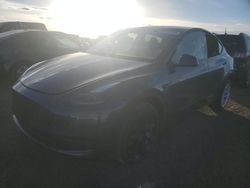 Salvage cars for sale from Copart Brighton, CO: 2023 Tesla Model Y