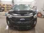 2014 Ford Edge Sport