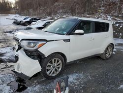 Salvage cars for sale at Marlboro, NY auction: 2019 KIA Soul +