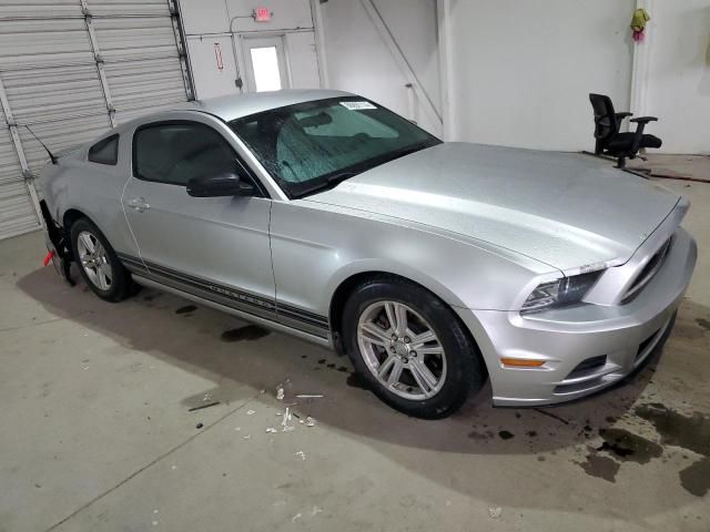 2013 Ford Mustang