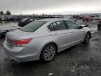 2011 Honda Accord EXL