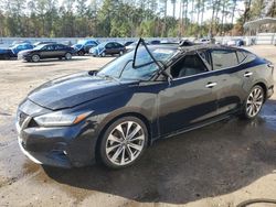 Salvage cars for sale at Harleyville, SC auction: 2020 Nissan Maxima Platinum