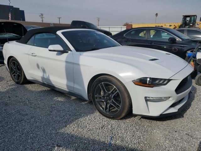 2019 Ford Mustang