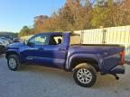 2024 Toyota Tacoma Double Cab