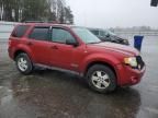 2008 Ford Escape XLT