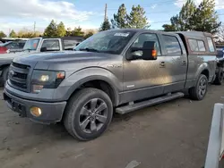 Salvage trucks for sale at Denver, CO auction: 2013 Ford F150 Supercrew