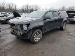 Salvage cars for sale at Marlboro, NY auction: 2019 Chevrolet Colorado LT