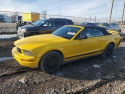 Salvage cars for sale at auction: 2005 Ford Mustang