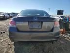 2010 Honda Accord LXP