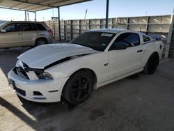 Salvage cars for sale at Anthony, TX auction: 2014 Ford Mustang