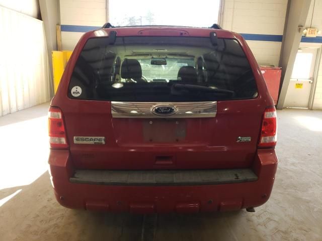 2011 Ford Escape Limited